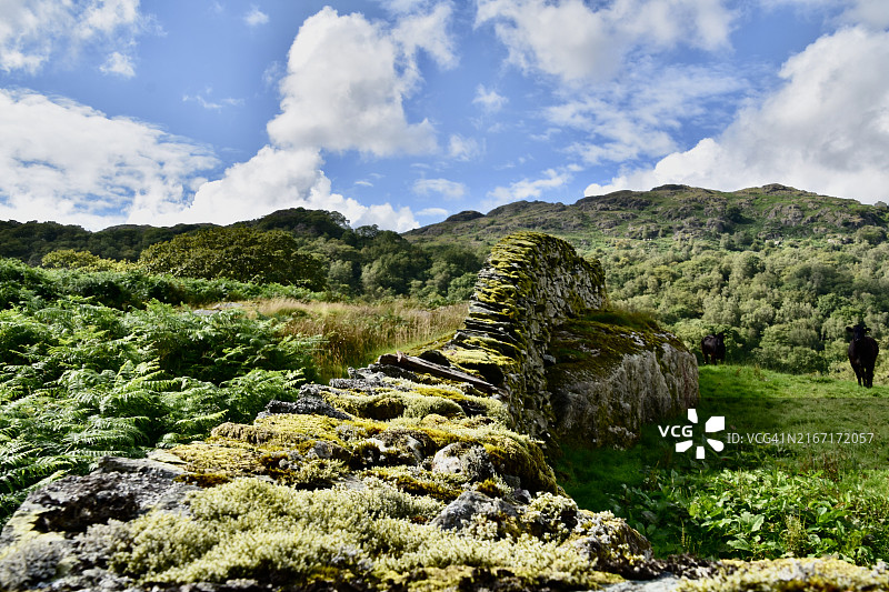 跨越障碍的墙图片素材