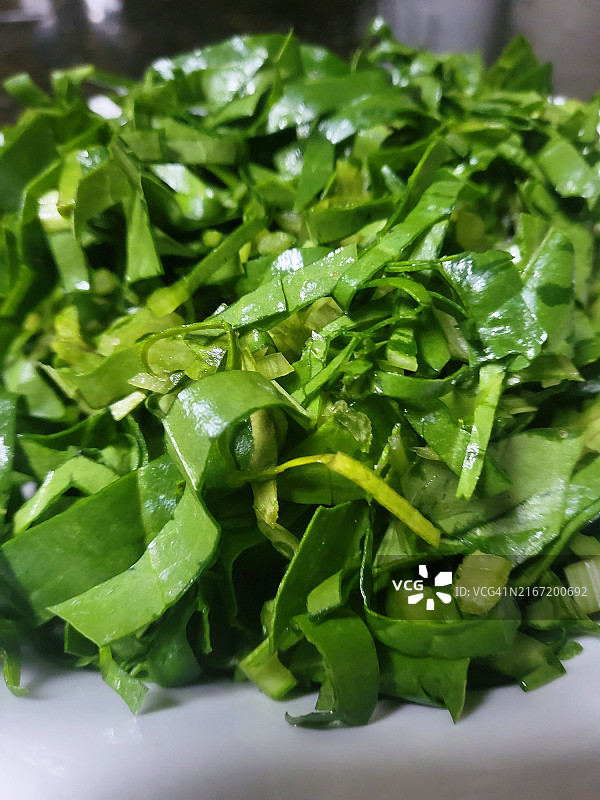 莙荙菜叶图片素材