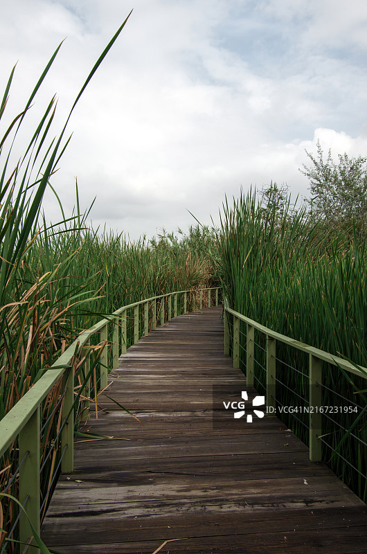 霍奇米尔科生态公园阿西特拉林湖人行桥图片素材