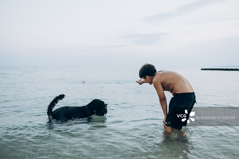 男孩在海边和他的狗玩耍图片素材