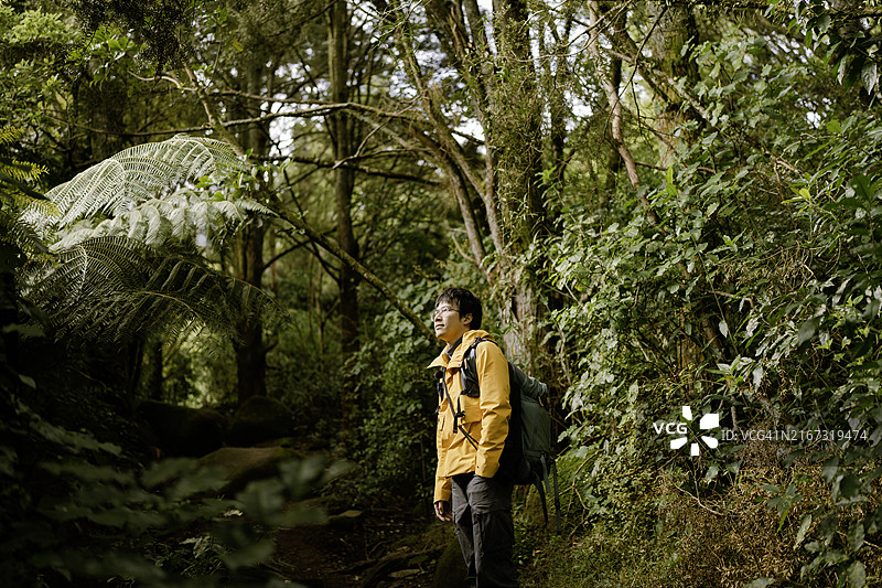 身穿黄色外套的旅行者站在茂盛的绿色植物中图片素材