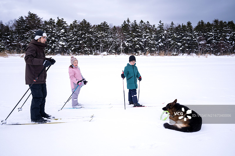 一家人在雪地里和狗一起滑雪，冬季活动图片素材