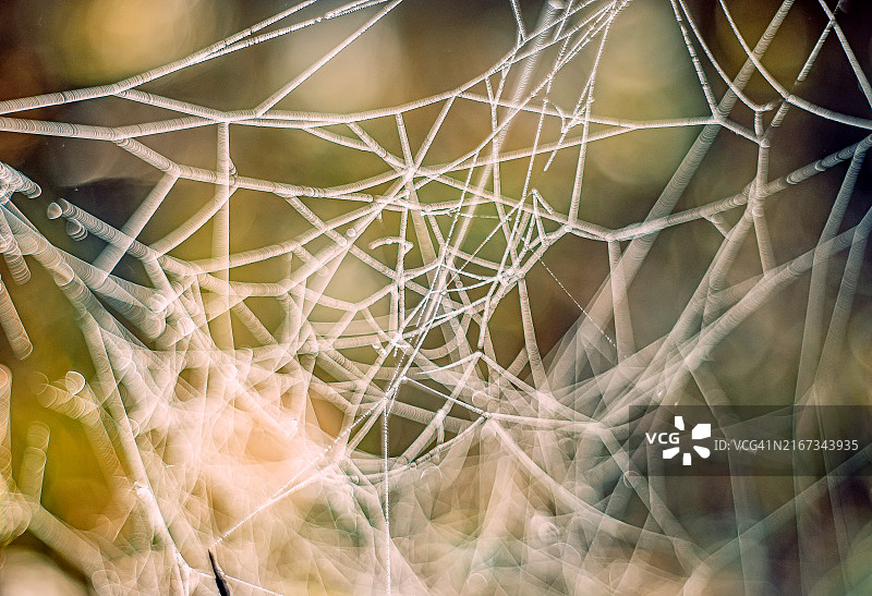 露珠覆盖的蜘蛛网特写。一张蜘蛛网的详细特写图像，上面装饰着晨露，错综复杂地编织在模糊的棕色背景上。露水增强了网络精致的结构。图片素材