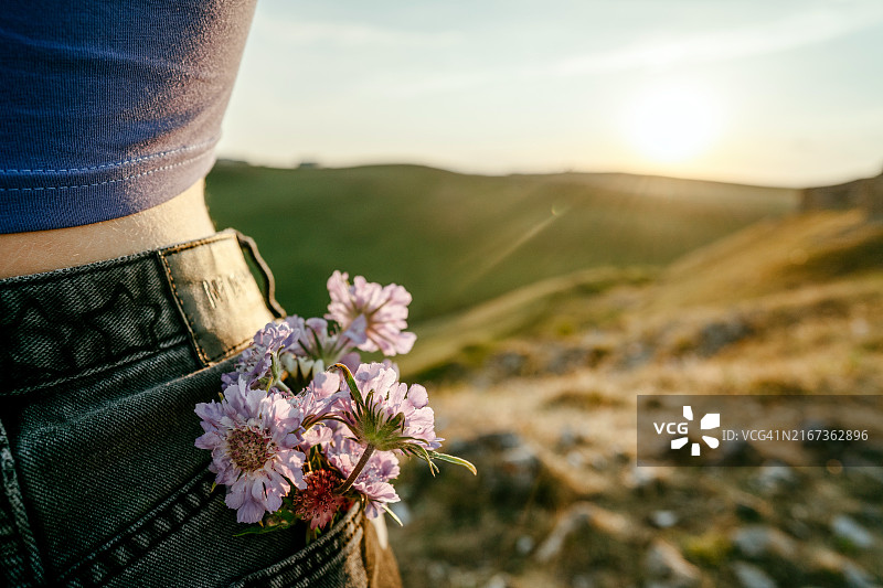 美丽日落山景背景下牛仔裤口袋里的紫色野花花束图片素材