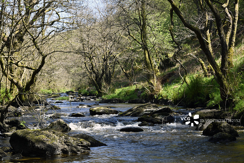 寻得宁静图片素材