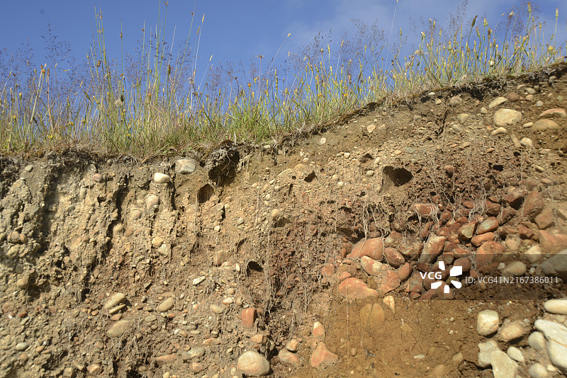 新西兰西海岸布伦纳湖附近农场的土壤结构剖面图片素材