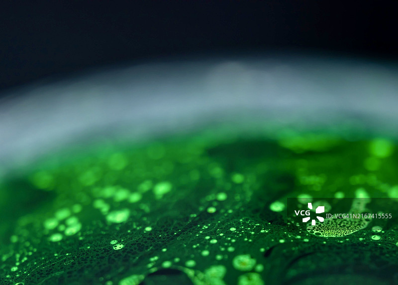 澳大利亚西澳大利亚州珀斯叶子上水滴的特写图片素材