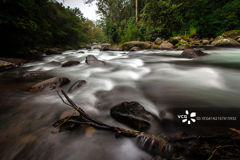 森林中瀑布的美景图片素材