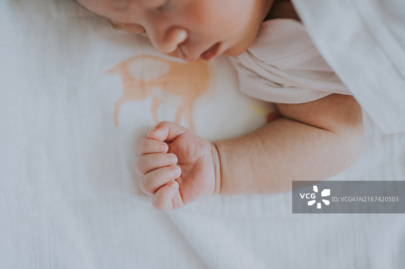 婴儿的手图片素材