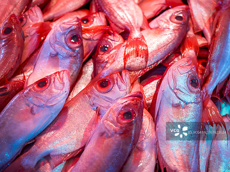 市场上出售的红鲷鱼全画幅照片图片素材