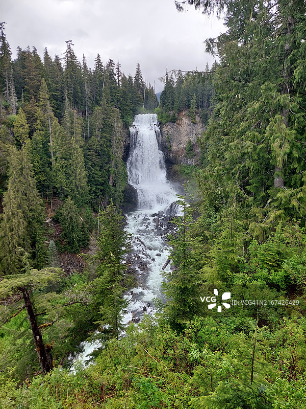森林中瀑布的美景图片素材