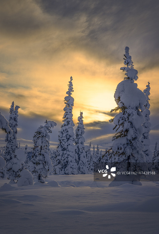 日落时分阿拉斯加州内尔奇纳的雪景图片素材