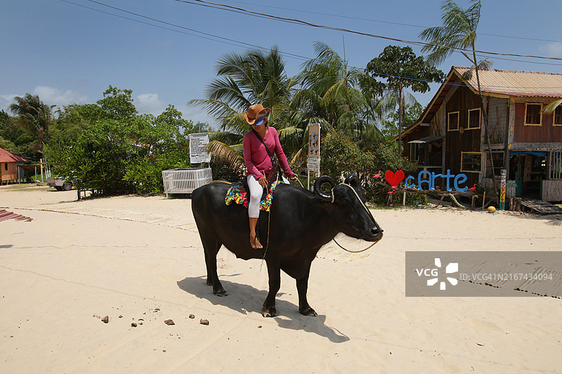 Marajó巴西亚马逊岛图片素材