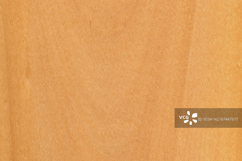 新西兰银山毛榉木纹背景图片素材