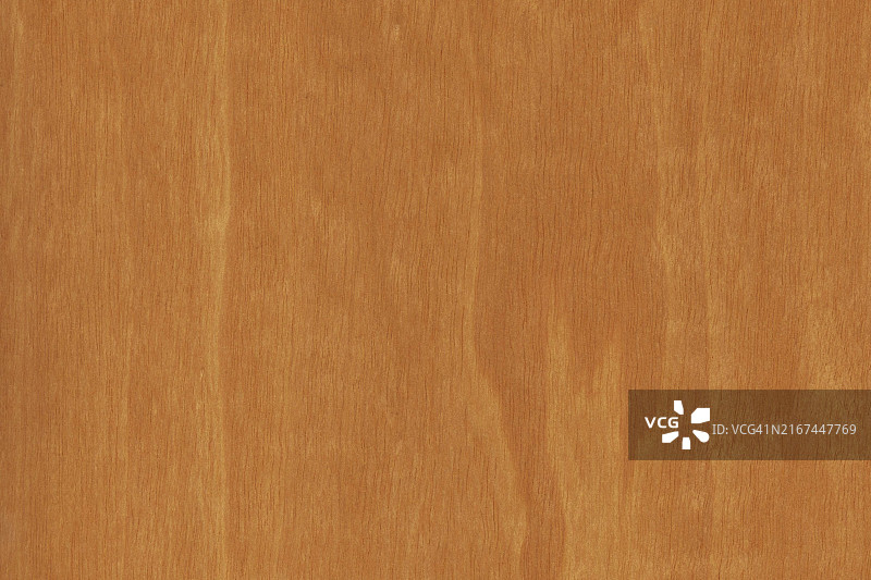 非洲伯奇木纹背景，一种原产于热带非洲稀树草原的高大常绿树木图片素材