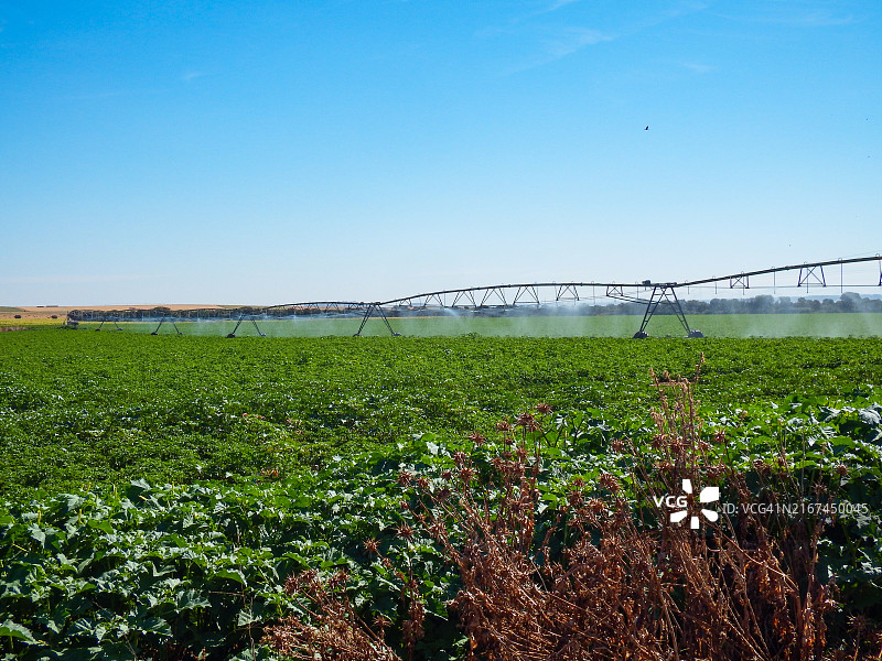 圆形灌溉系统图片素材