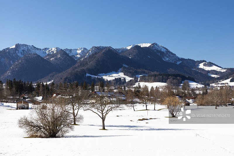 雪中鲁波尔丁的树木与山景图片素材
