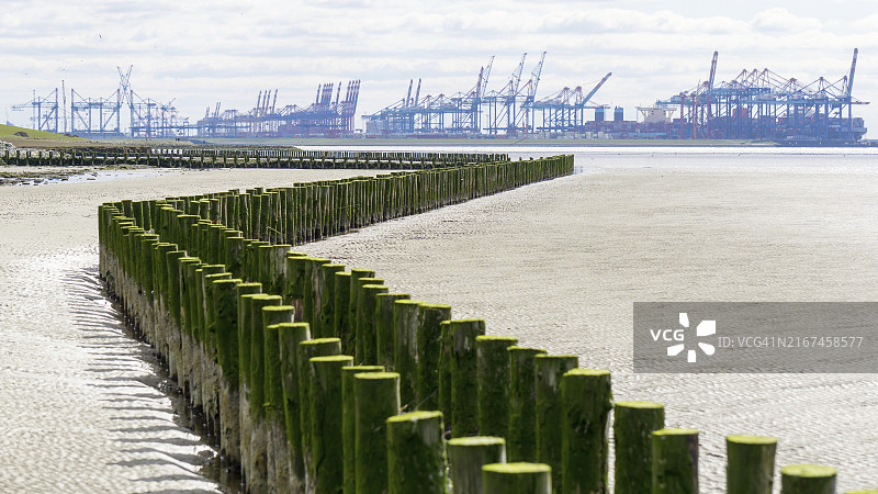 瓦登海的木制丁坝图片素材