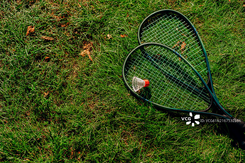 草地上的羽毛球和羽毛球拍（俯视角度）图片素材