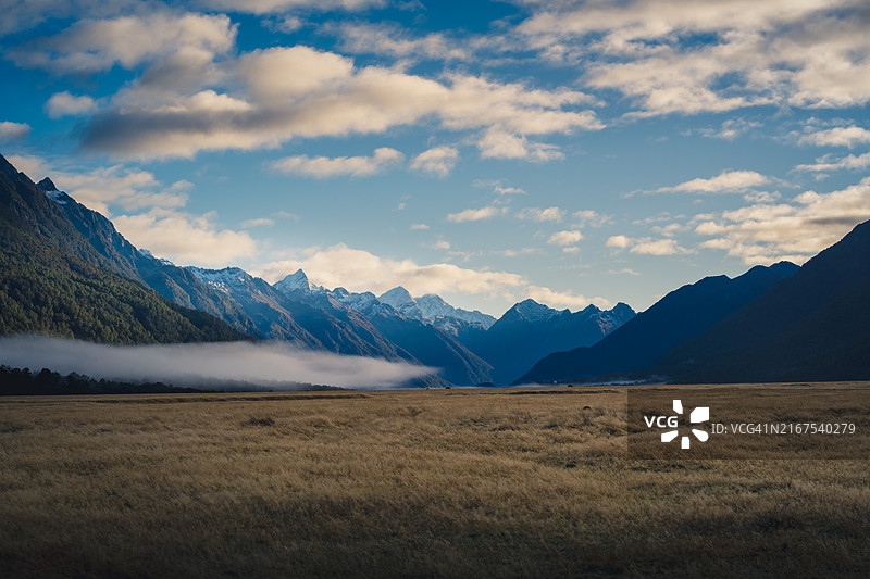 新西兰南地的埃格林顿谷早晨，草地上笼罩着长长的白色雾气。图片素材