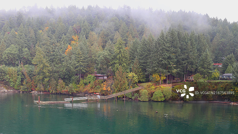不列颠哥伦比亚岛上的雾天清晨图片素材