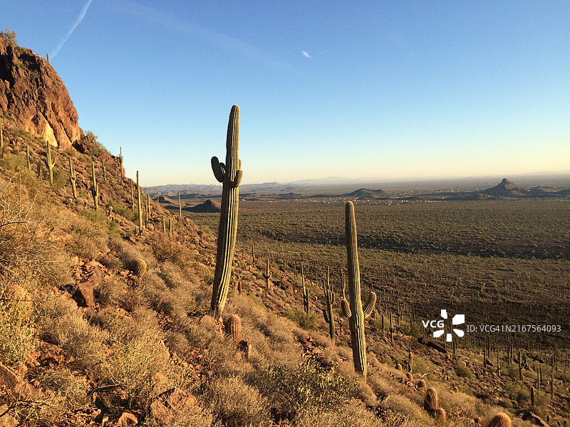 亚利桑那州沙漠西南部山坡景观，徒步前往百老汇洞穴图片素材