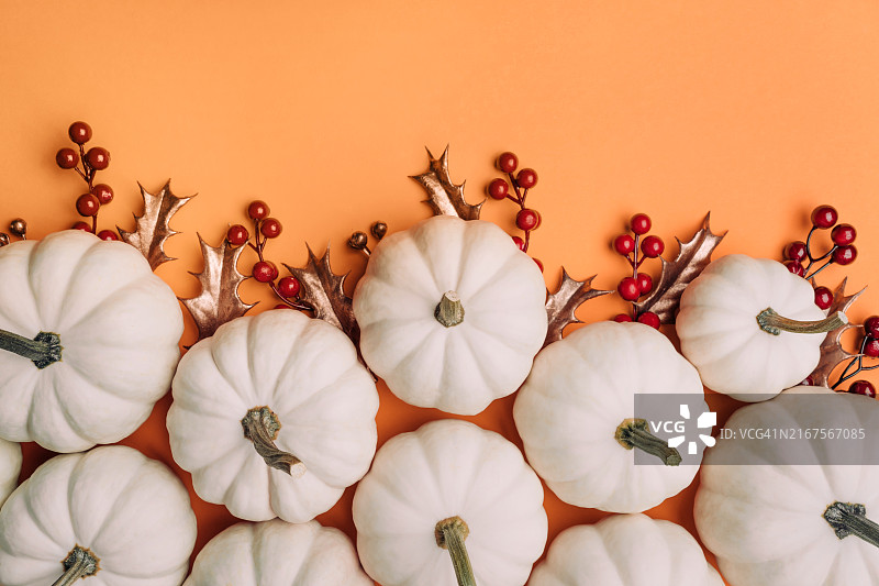 橙色背景上的白色南瓜、红色荚蒾和金色冬青叶框架图片素材