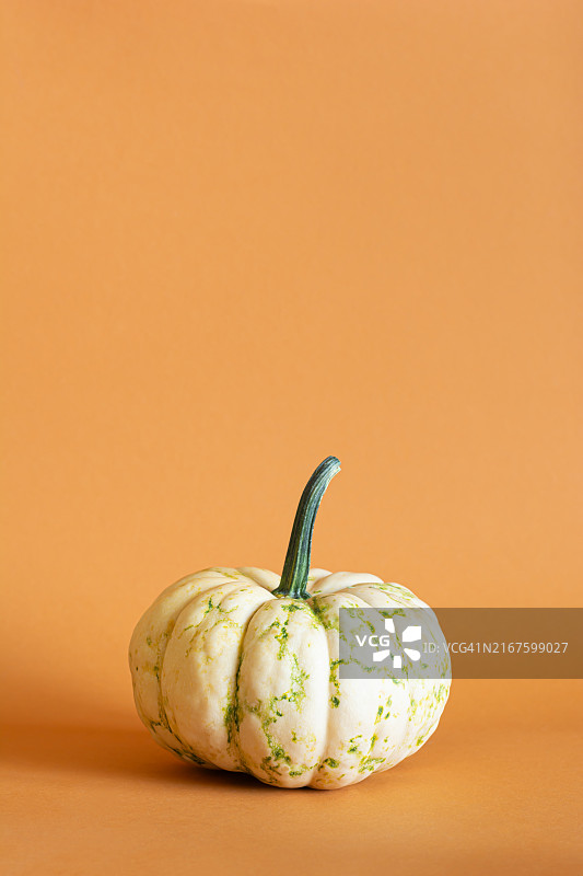 橙色背景上的小南瓜：万圣节和感恩节的餐桌装饰图片素材