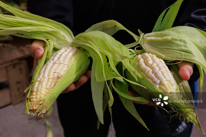 玉米芯，新鲜蔬菜和豆类在市场上出售图片素材