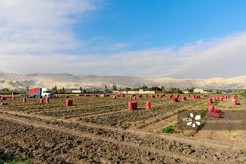 阿雷基帕卡马纳山谷的农作物田野图片素材