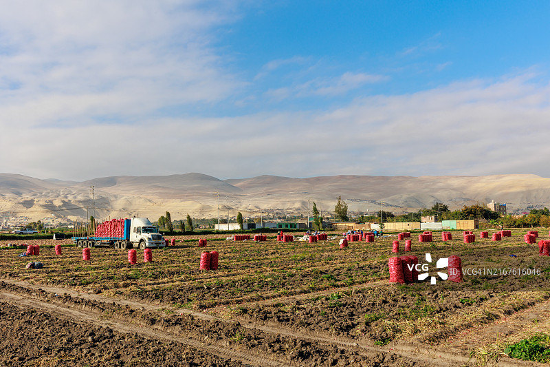 阿雷基帕卡马纳山谷的农作物田野图片素材