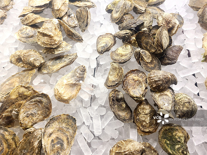 展示柜里的蛤蜊图片素材