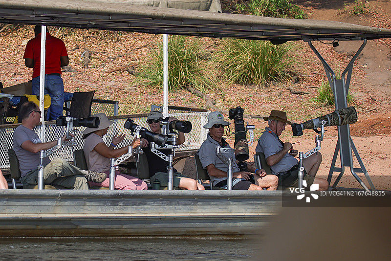 在乔贝国家公园Safari的摄影师图片素材