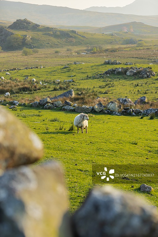 英格兰、威尔士、高地、山脉图片素材
