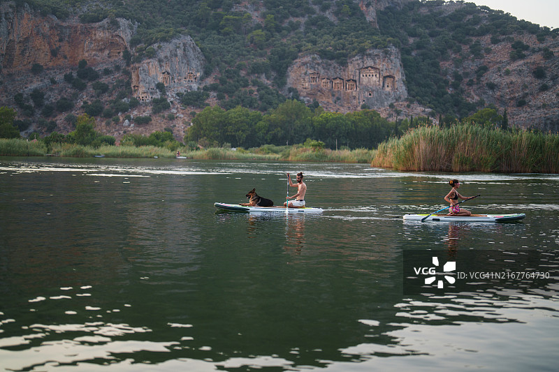 与狗在达利扬运河的桨板之旅图片素材