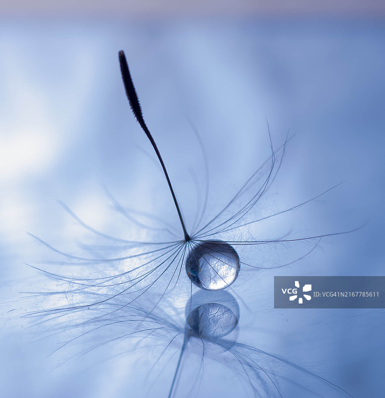 匈牙利埃斯泰尔戈姆，蓝色背景上的水滴特写图片素材