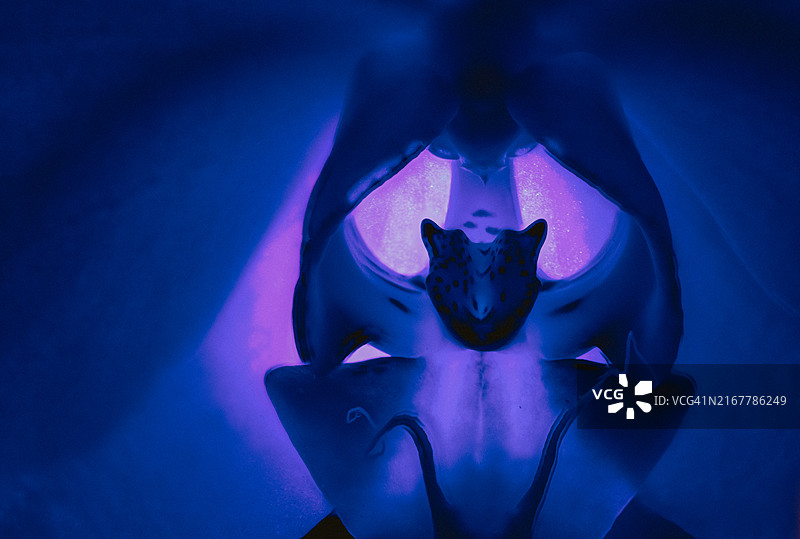 发光花朵特写图片素材