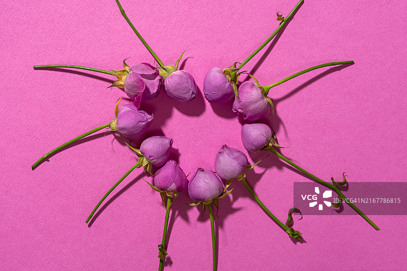 桌子上的粉色花朵俯视图图片素材