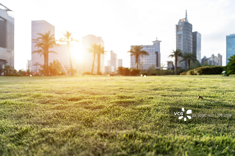 空旷的草坪和城市公园图片素材
