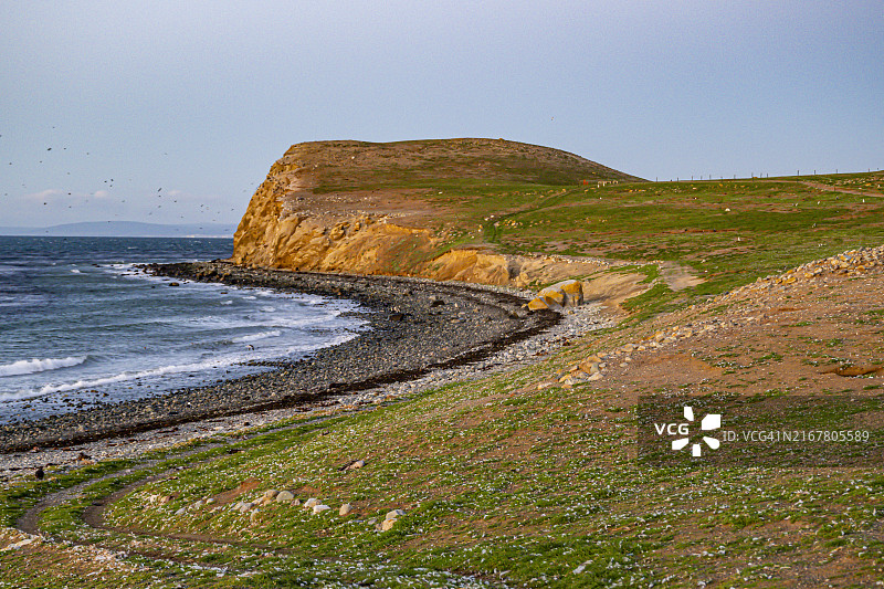 智利蓬塔阿雷纳斯马格达莱纳岛风光图片素材