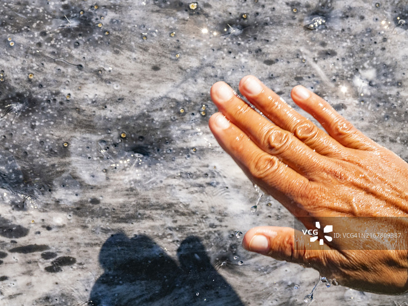 圣伊格纳西奥泻湖的灰鲸幼崽，墨西哥下加利福尼亚图片素材