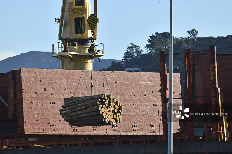 船用起重机将辐射松原木装入运往亚洲的货船船舱图片素材