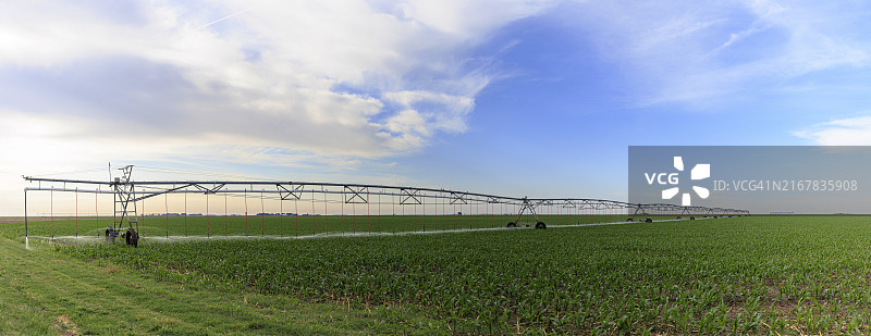 中心枢轴灌溉系统横跨堪萨斯州平原上郁郁葱葱的绿色玉米田图片素材