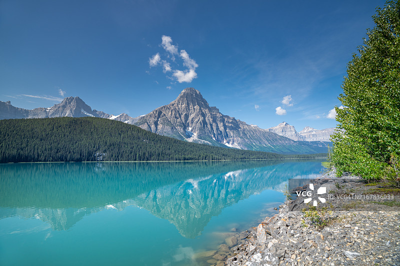 夏季美丽的湖泊水禽，加拿大艾伯塔省班夫国家公园图片素材