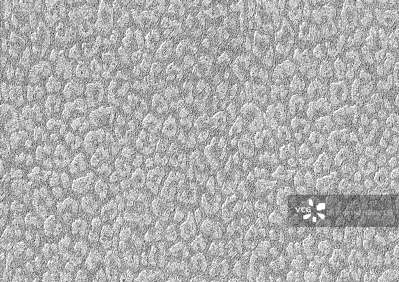 豹纹纹理图片素材