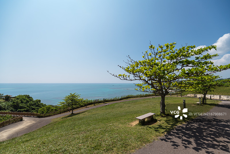 海边山坡上的树木和草地图片素材