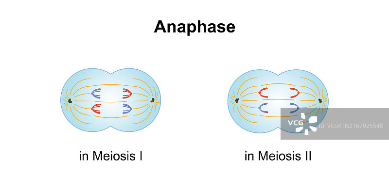 后期, 插图图片素材