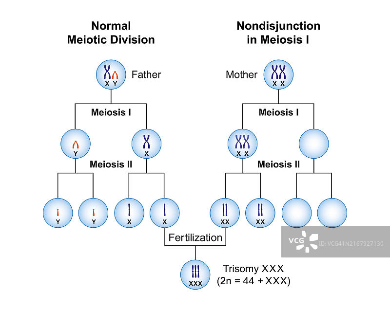 XXX三体综合征插画图片素材