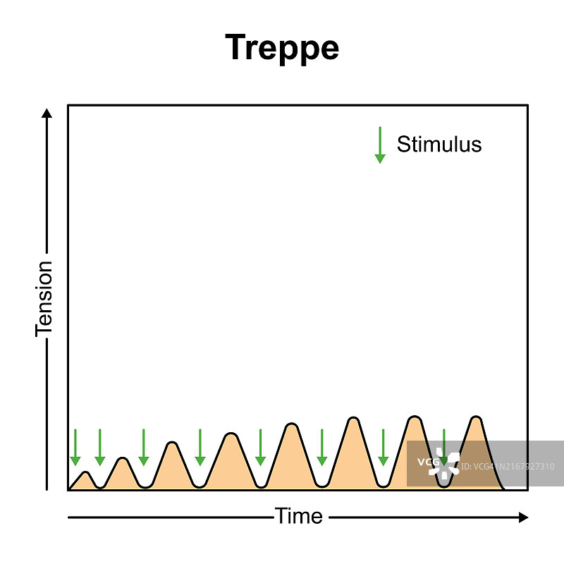 肌肉阶梯现象图解图片素材