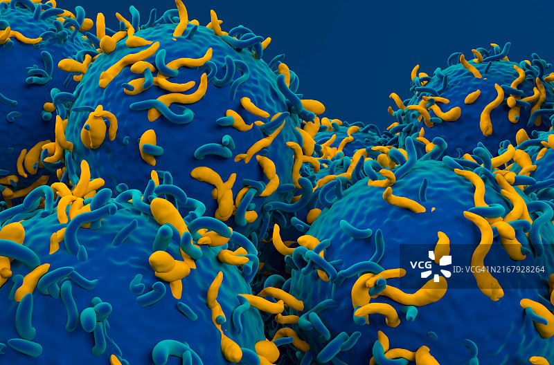 CAR-T细胞图图片素材